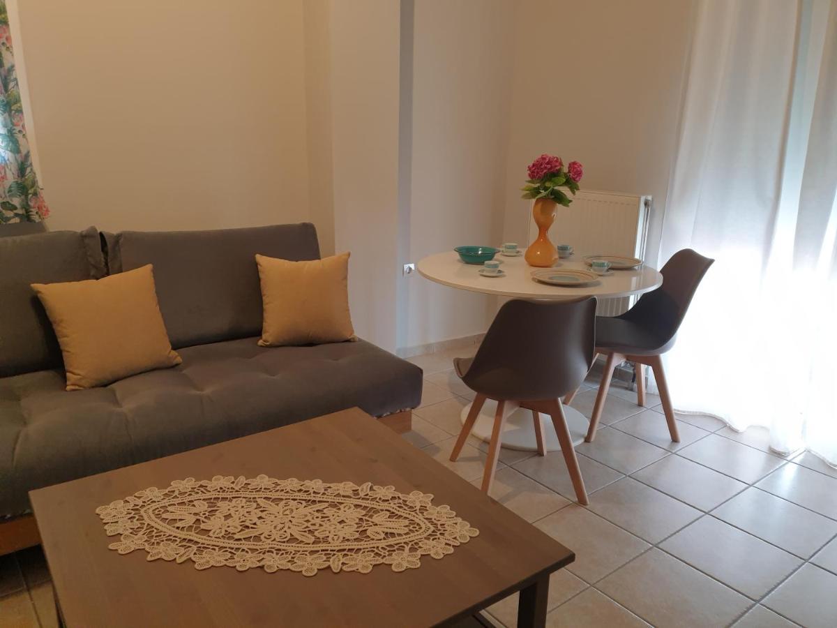 Comfortable Apartment In The Center Of Volos Very Close To The Port Zewnętrze zdjęcie